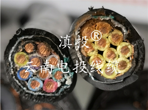 昆明電纜廠(chǎng)家計(jì)算機(jī)電纜