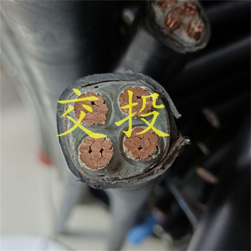 www.thierimport-auto.com