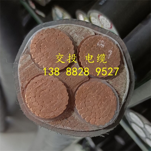 www.thierimport-auto.com