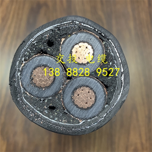 www.thierimport-auto.com