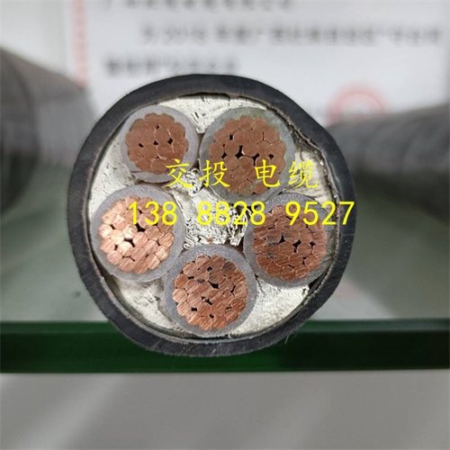www.thierimport-auto.com