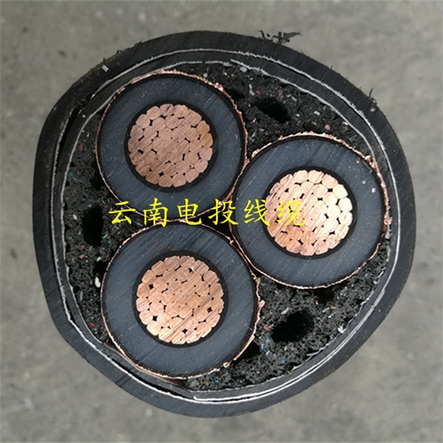 www.thierimport-auto.com