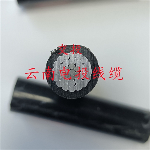 www.thierimport-auto.com