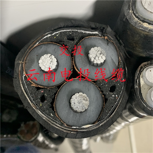 www.thierimport-auto.com