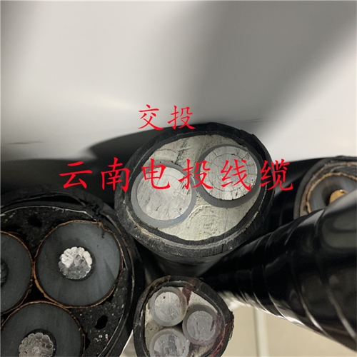 www.thierimport-auto.com
