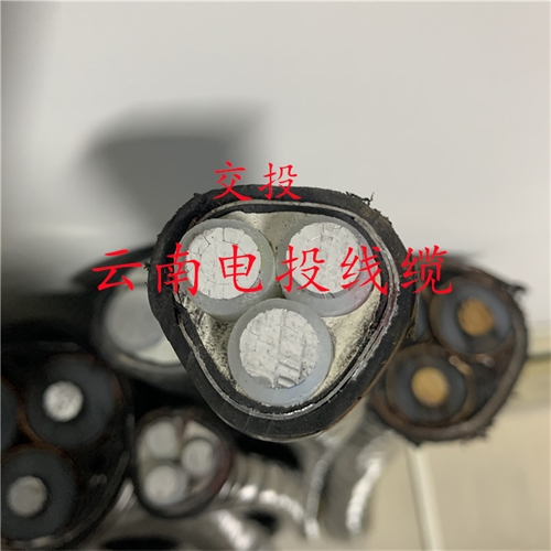 www.thierimport-auto.com