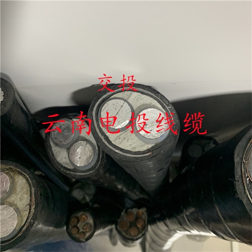 www.thierimport-auto.com