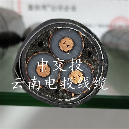 www.thierimport-auto.com