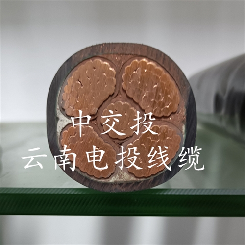 www.thierimport-auto.com