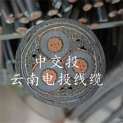 www.thierimport-auto.com