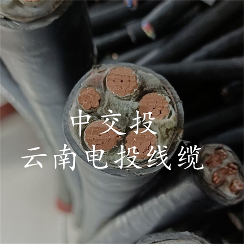 www.thierimport-auto.com