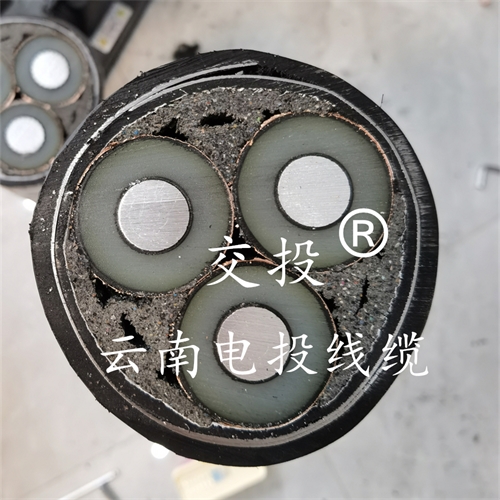 www.thierimport-auto.com