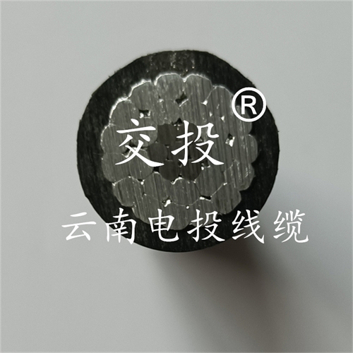 www.thierimport-auto.com